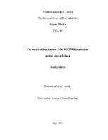 Referāts 'Personalvadības sistēma SIA BUCHER municipal un tās pilnveidošana', 1.