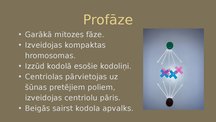 Prezentācija 'Mitoze', 3.