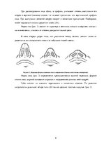 Referāts 'Происхождение человеческих рас и их распространение', 8.