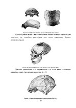 Referāts 'Происхождение человеческих рас и их распространение', 20.