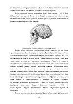 Referāts 'Происхождение человеческих рас и их распространение', 42.