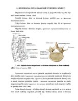 Referāts 'Lumbālās diska trūces konservatīvās un mikroķirurģiskās ārstēšanas agrīnu rezult', 8.