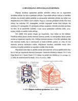 Referāts 'Lumbālās diska trūces konservatīvās un mikroķirurģiskās ārstēšanas agrīnu rezult', 11.