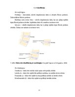 Referāts 'Lumbālās diska trūces konservatīvās un mikroķirurģiskās ārstēšanas agrīnu rezult', 13.