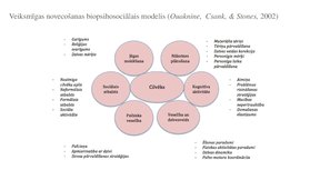 Prezentācija 'Veiksmīgas novecošanas modeli', 14.