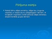 Diplomdarbs 'Stājas simetrijas, stājas tipa un redzes asuma kopsakarības Rīgas pilsētas pirms', 43.