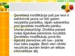 Prezentācija 'Iedzīvotāju informētība par ģenētiski modificēto pārtiku', 7.