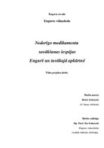 Referāts 'Nederīgo medikamentu savākšanas iespējas Engurē un tuvākajā apkārtnē', 1.