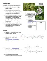 Konspekts 'Apraksts un konspekts par aromātisku organisko savienojumu - piridīnu', 2.