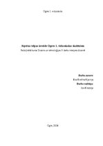 Referāts 'Padziļinātā kursa Dizains un tehnoloģijas II darbs interjera dizainā', 1.