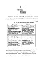 Prakses atskaite 'Prakses atskaite', 6.