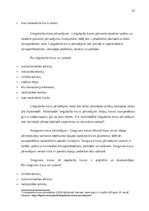 Prakses atskaite 'Prakses atskaite', 12.