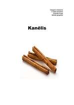 Referāts 'Kanēlis', 1.