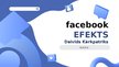 Prezentācija 'Facebook efekts. Grāmatas prezentācija', 1.