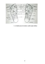 Referāts 'Dziednieciskās pirts pozitīvā ietekme uz cilvēka veselību', 24.