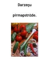 Prakses atskaite 'Dārzeņu pirmapstrāde', 1.