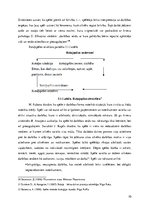 Referāts 'Matemātikas mācību satura apguve 2-3 gadus veciem bērniem lietpratīgās izglītība', 10.