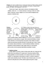 Referāts 'Entoptiskie fenomeni,kas noteiktos apstākļos ir saistīti ar tīklenes asinsvadu t', 5.