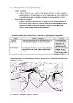 Konspekts 'Pasaules apdzīvotība un urbanizācija', 4.