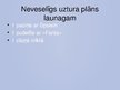 Prezentācija 'Veselīgs uztura plāns vienai dienai', 8.