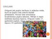 Prezentācija 'Origami saistība ar matemātiku un citām dzīves jomām', 2.