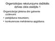 Prezentācija 'Organizācijas dzīves cikls', 4.