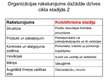 Prezentācija 'Organizācijas dzīves cikls', 6.