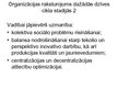 Prezentācija 'Organizācijas dzīves cikls', 8.