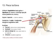 Prezentācija 'Konspekts ieskaitei treneriem anatomijā', 16.