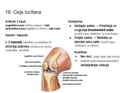 Prezentācija 'Konspekts ieskaitei treneriem anatomijā', 21.