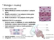 Prezentācija 'Konspekts ieskaitei treneriem anatomijā', 24.