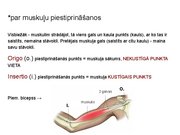 Prezentācija 'Konspekts ieskaitei treneriem anatomijā', 25.