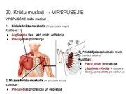 Prezentācija 'Konspekts ieskaitei treneriem anatomijā', 26.