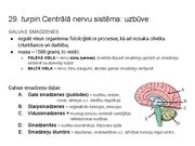 Prezentācija 'Konspekts ieskaitei treneriem anatomijā', 44.