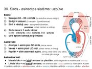 Prezentācija 'Konspekts ieskaitei treneriem anatomijā', 46.