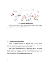 Referāts 'Datizrace un zināšanu atklāšana', 47.