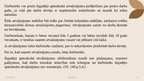 Prezentācija 'Profesionālas prakses prezentācija', 11.