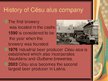 Prezentācija 'Company "Cēsu alus"', 3.