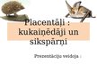 Prezentācija 'Placentāļi: kukaiņēdāji un sikspārņi', 1.