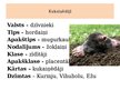 Prezentācija 'Placentāļi: kukaiņēdāji un sikspārņi', 2.