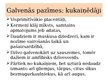 Prezentācija 'Placentāļi: kukaiņēdāji un sikspārņi', 3.