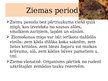 Prezentācija 'Placentāļi: kukaiņēdāji un sikspārņi', 5.