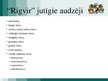 Referāts 'Eksporta plāna izstrāde pretvēža medikamentam "Rigvir"', 45.