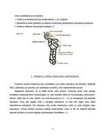 Referāts 'Urīna sedimenta morfoloģiskā izmeklēšana un diagnostiskā interpretācija', 4.