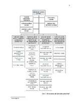 Referāts 'Kapitālsabiedrības dibināšana un tās statūtu individualizācija', 8.