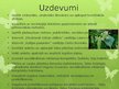 Prezentācija 'Tēja kā sociālās kultūras elements pasaulē un Talsu iedzīvotāju tējas lietošanas', 3.