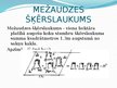 Prezentācija 'Mežaudzes šķērslaukuma noteikšanas vienkāršotie paņēmieni', 3.