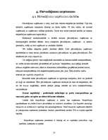 Referāts 'Ekspeditori', 14.