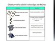 Prezentācija 'Olbaltumvielu uzbūve', 4.