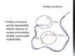 Prezentācija 'Olbaltumvielu uzbūve', 7.